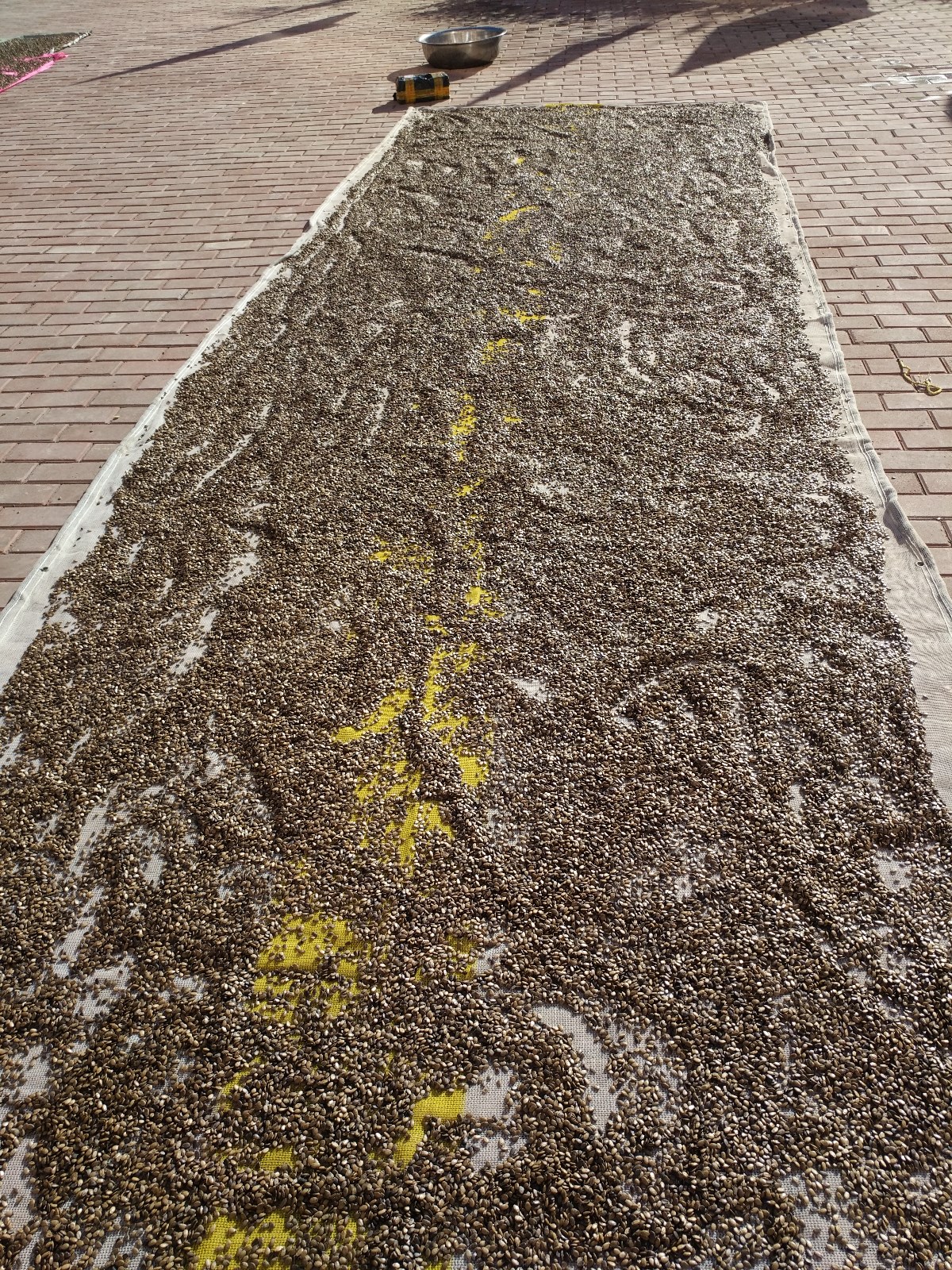 ag九游会官方网址