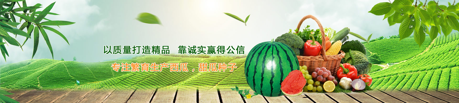 ag九游会官方网址